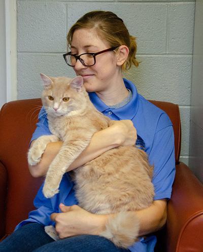 PET ADOPTIONS: Planning for pets