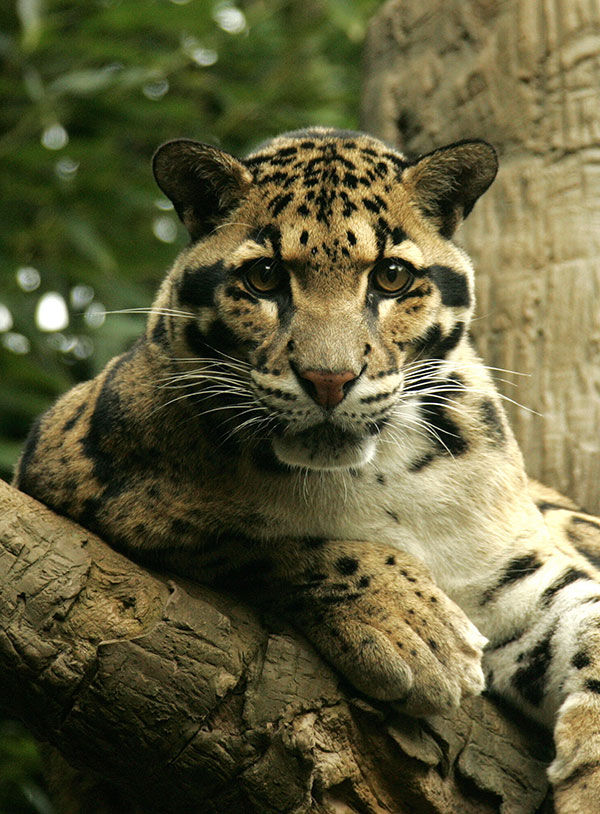 Nashville Zoo at Grassmere